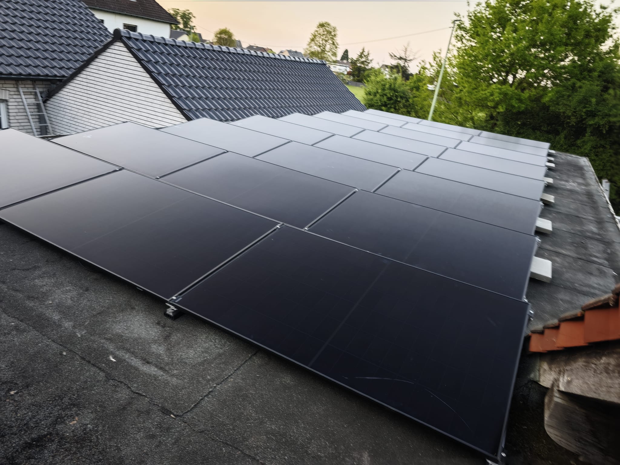 whatsapp image 2025 08 18 at 18.36.01